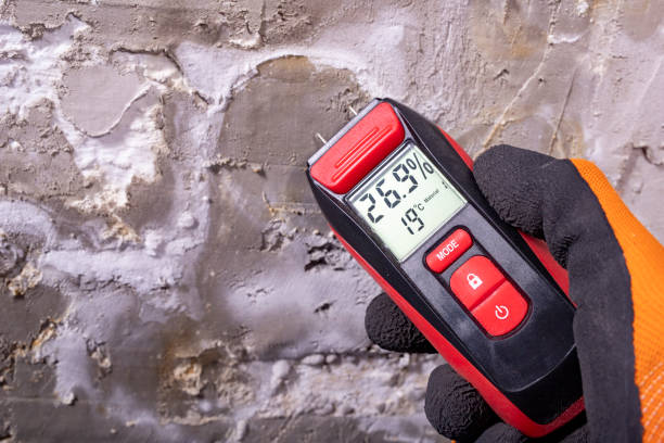 Best Insurance-Related Mold Remediation in Sebring, OH