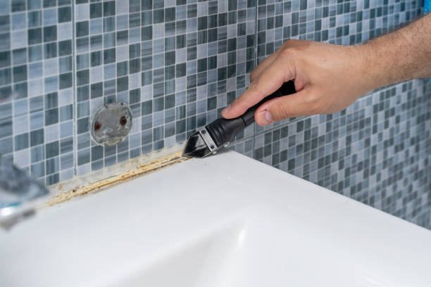 Best Industrial Mold Remediation in Sebring, OH