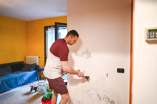 Best Emergency Mold Remediation in Sebring, OH